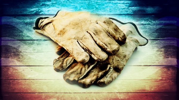 忠心的管家 (西1:1-12)