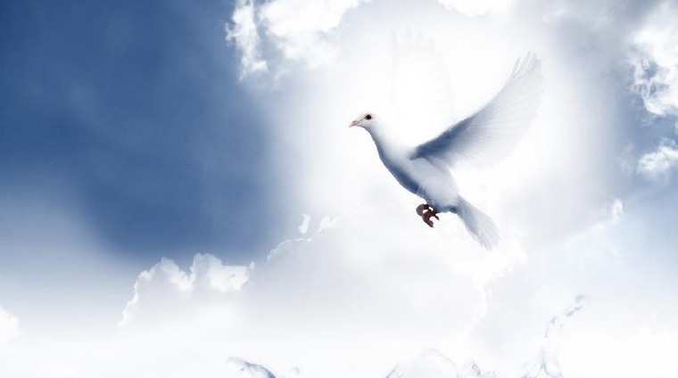 圣灵帮助我们 (2024月10月13日)