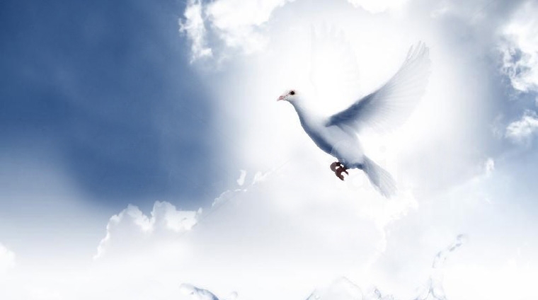 因认识基督而有的香气（2018年4月29日）