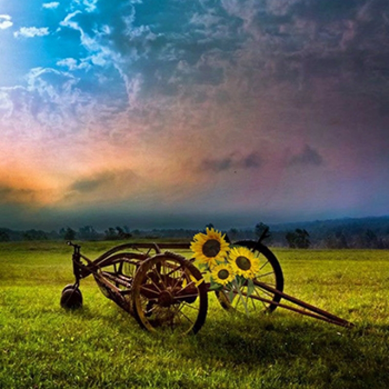 人的生命不在乎家道丰富（2017年9月03日）