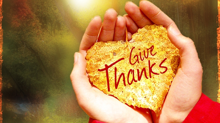 恩典的记号（2017年10月29日）