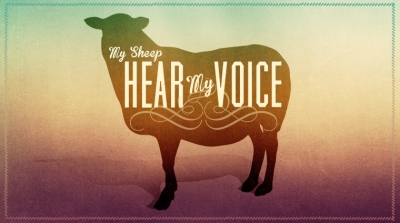 建立栽植在新约中（2015年11月29日）