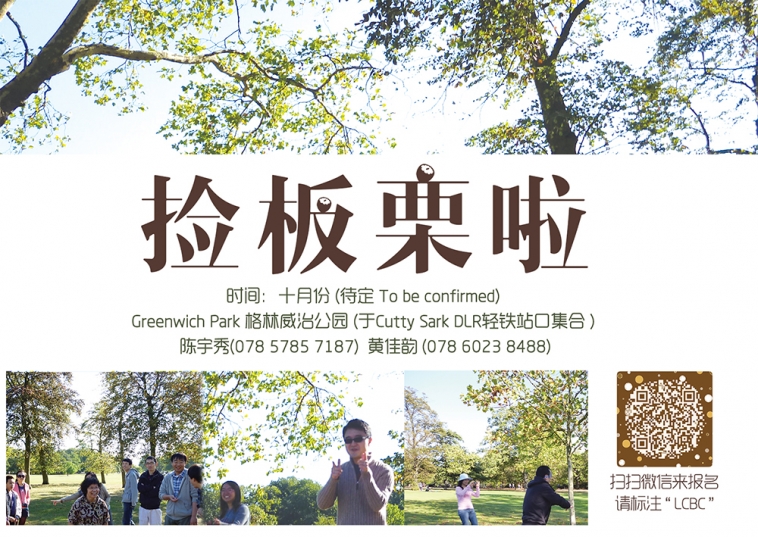 格林威治公园捡板栗