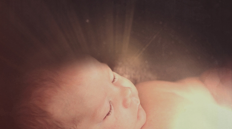 大喜的信息 (2017年12月24日)