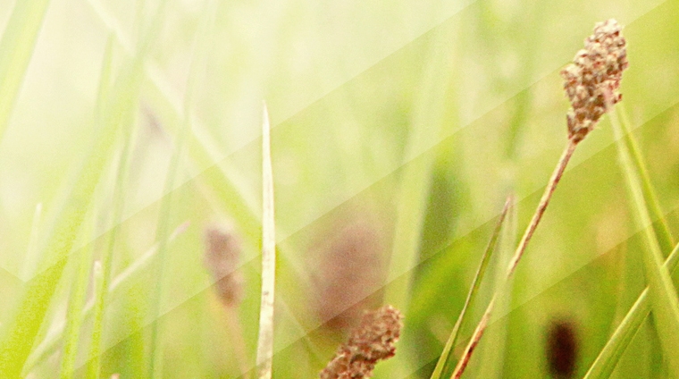 满有荣光的大喜乐！(2023年3月5日)